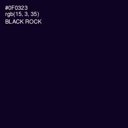 #0F0323 - Black Rock Color Image
